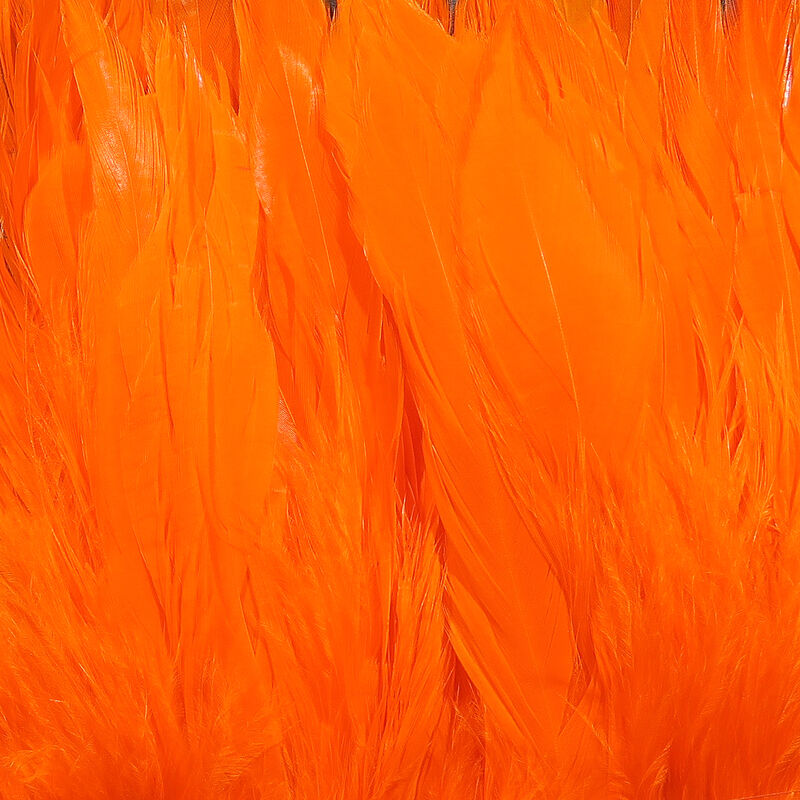 Schlappen Feathers