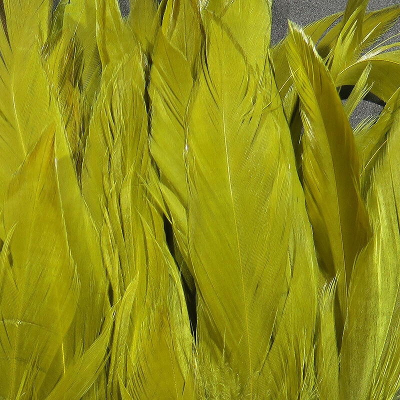 Schlappen Feathers