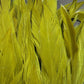 Schlappen Feathers