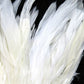 Schlappen Feathers