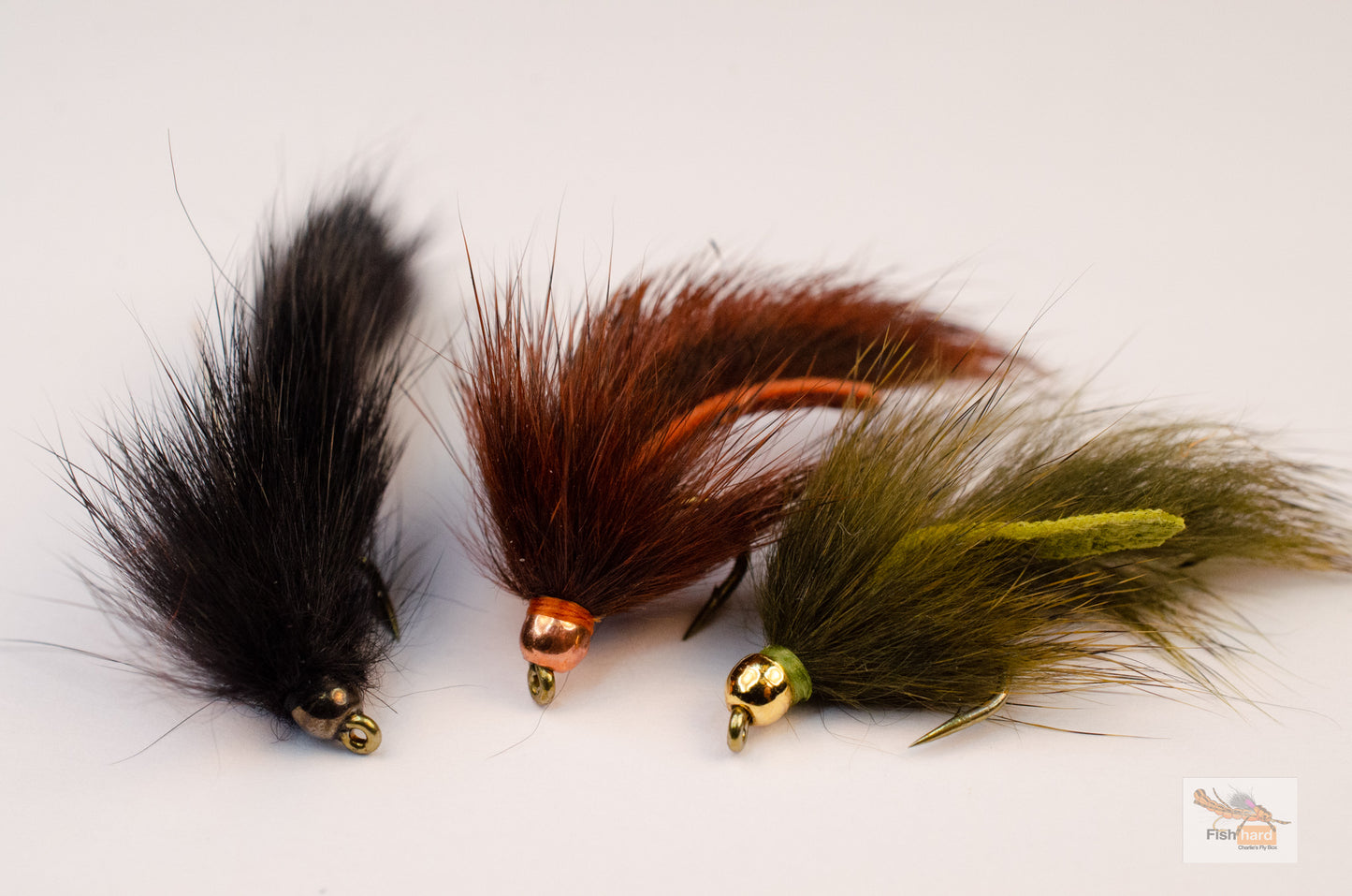 Pine Squirrel Leech, Craven's