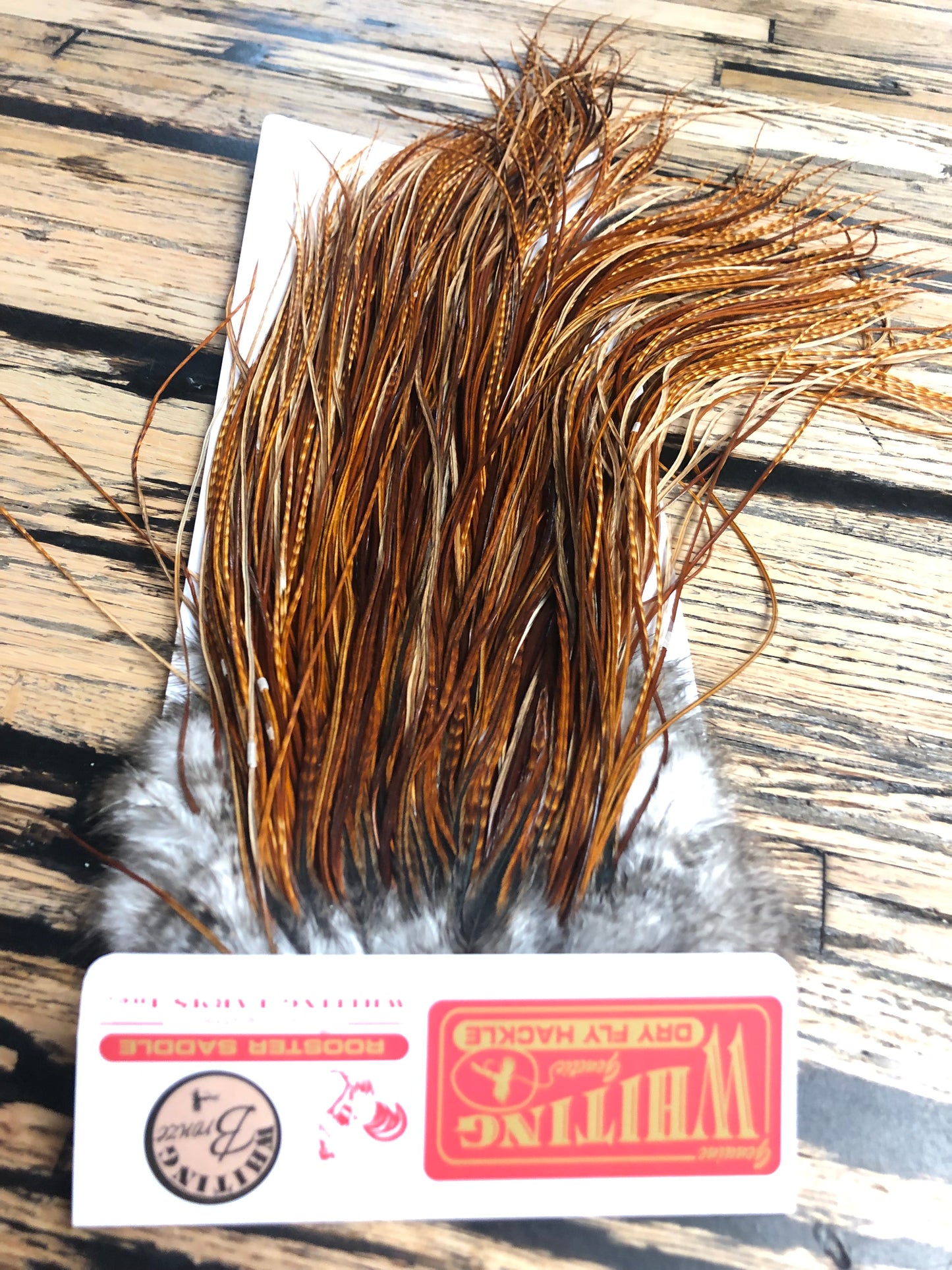 Whiting Bronze Grade Midge Saddle, Barred Dark Ginger